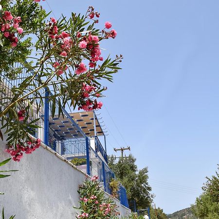Val Di Compare Apartments Vathy  Dış mekan fotoğraf
