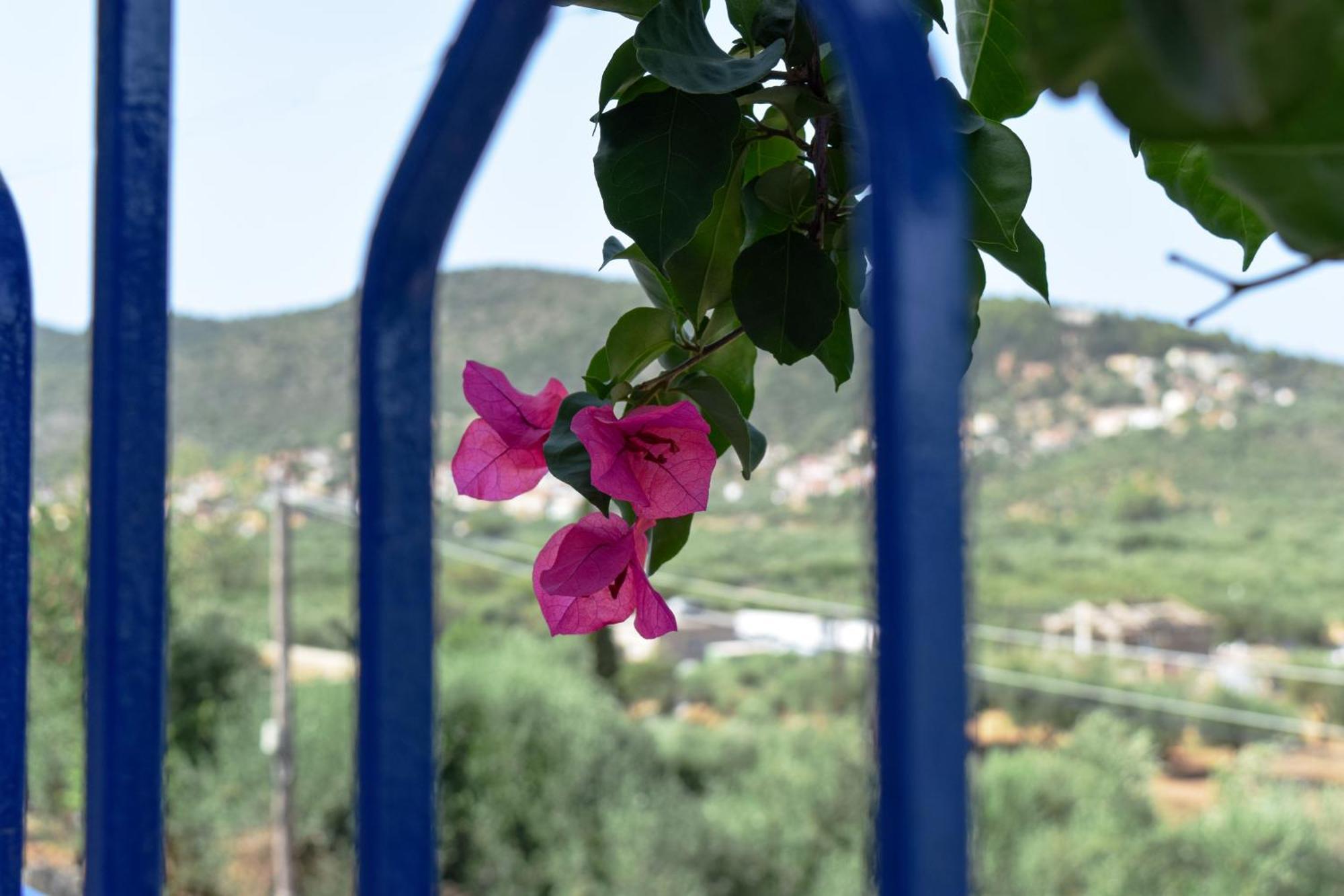 Val Di Compare Apartments Vathy  Dış mekan fotoğraf