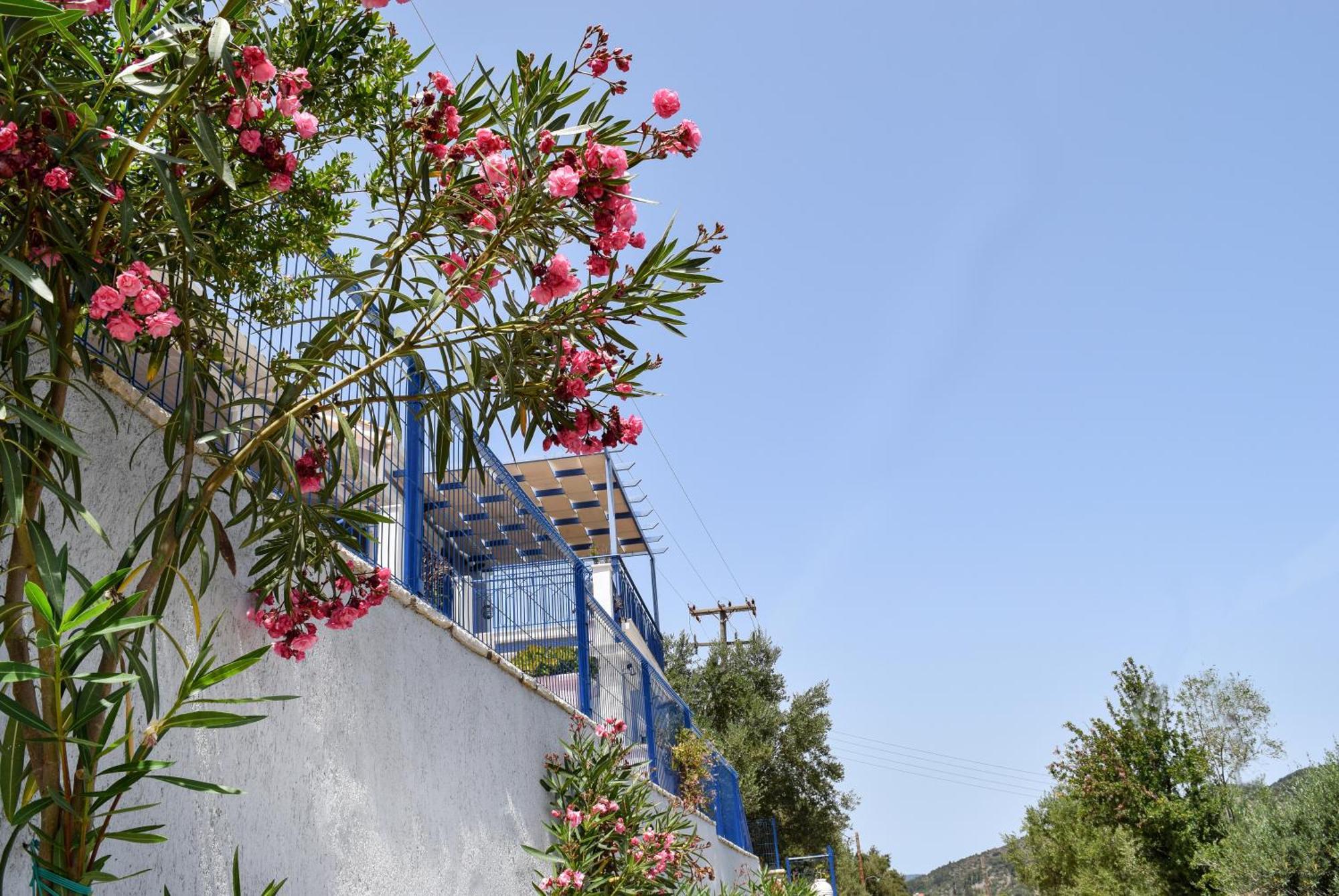 Val Di Compare Apartments Vathy  Dış mekan fotoğraf